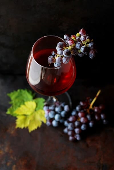 Cata de vinos