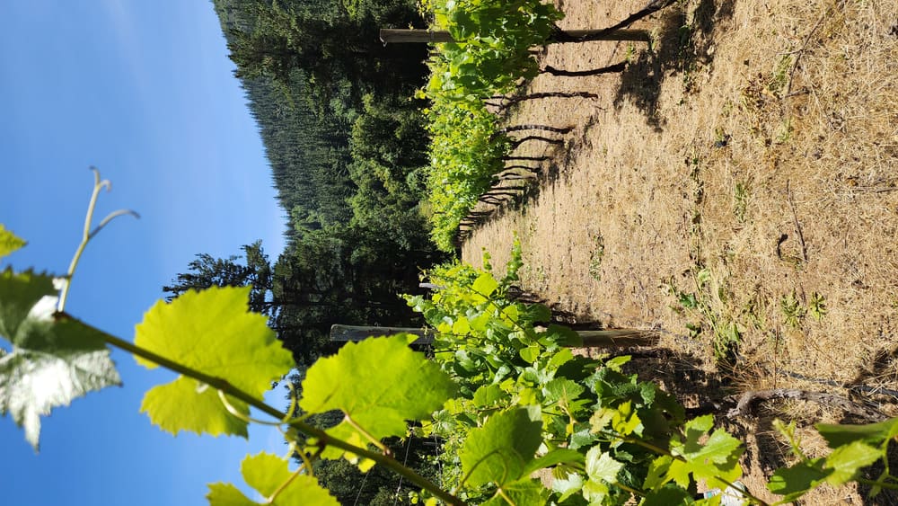 Bodega privada